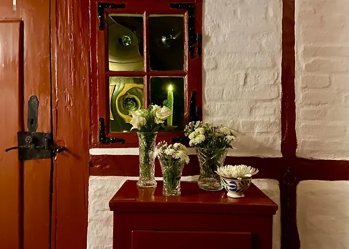 Aeroskobings Aeldste Hus - Eksklusiv I Historiske Rammer